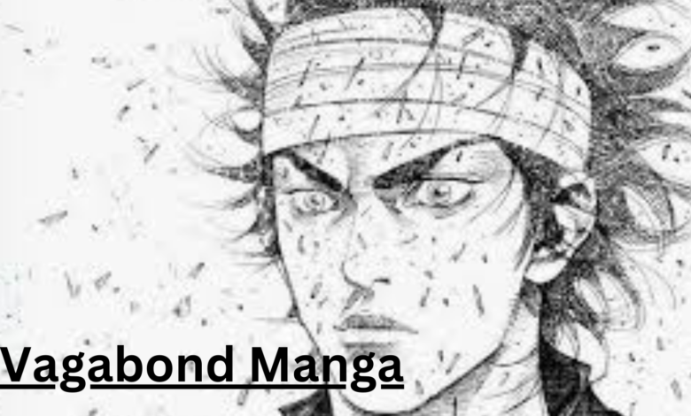 Vagabond Manga