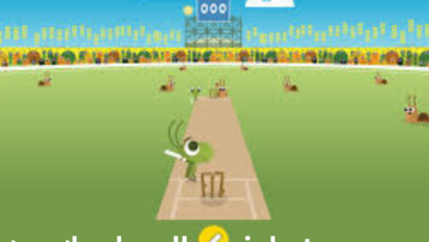 google doodle cricket