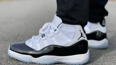 Jordan 11 Concord