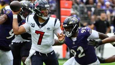 Houston texans vs baltimore ravens match player stats