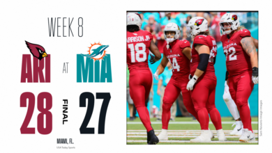 Miami dolphins vs arizona cardinals match player stats