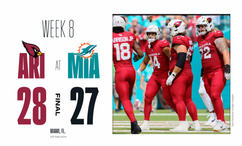 Miami dolphins vs arizona cardinals match player stats